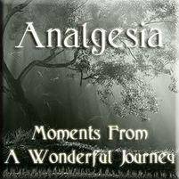 Analgesia : Moments from a Wonderful Journey